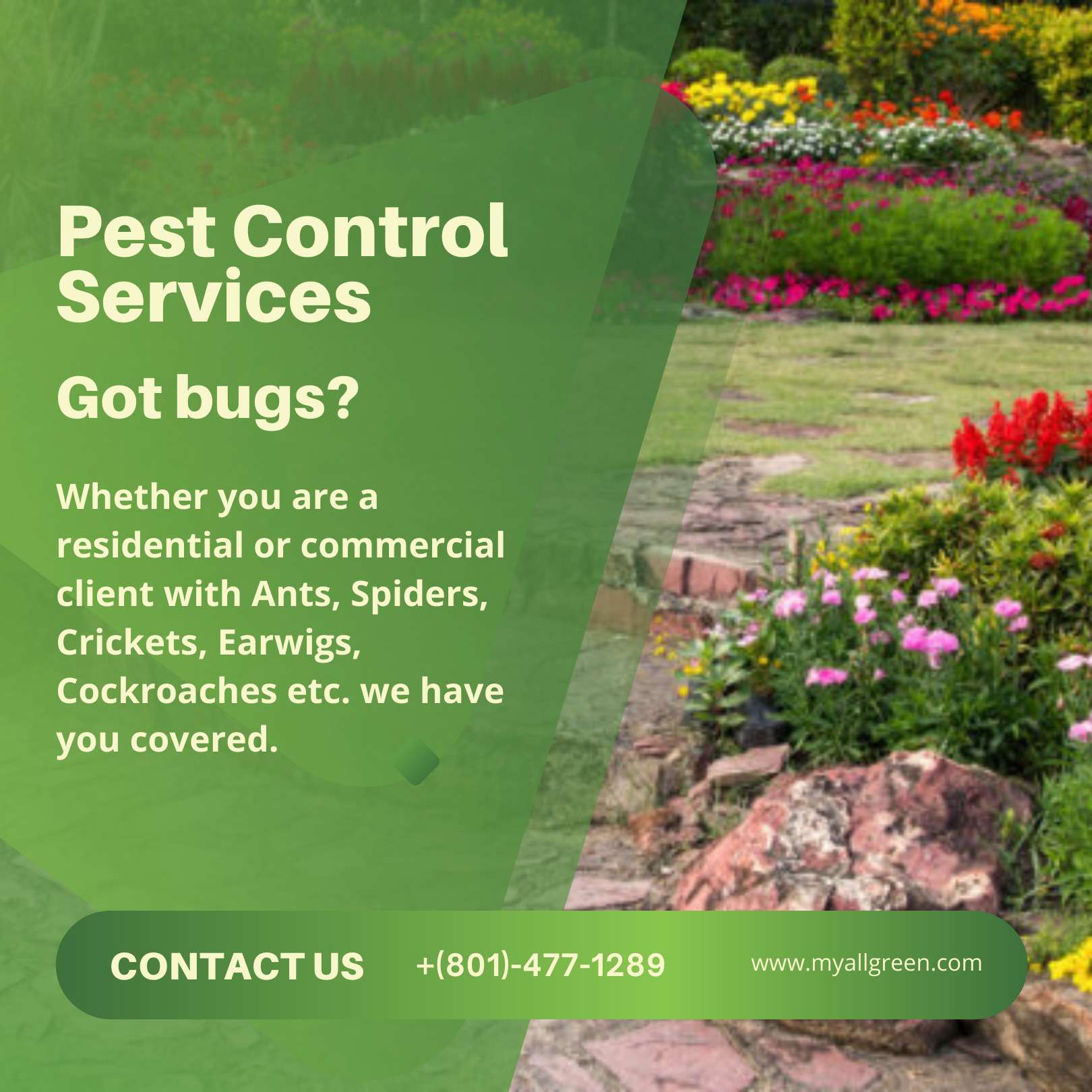 pest control services