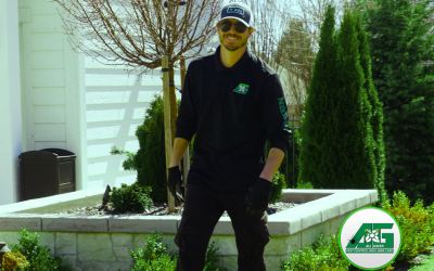 Friendly, Customer Focused, and Professional Lawn Care Technicians