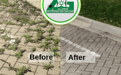 The Benefits of Non-Selective Herbicide Weed Control Applications for Your Outdoor Spaces