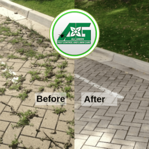 Before and after pest control treatment.