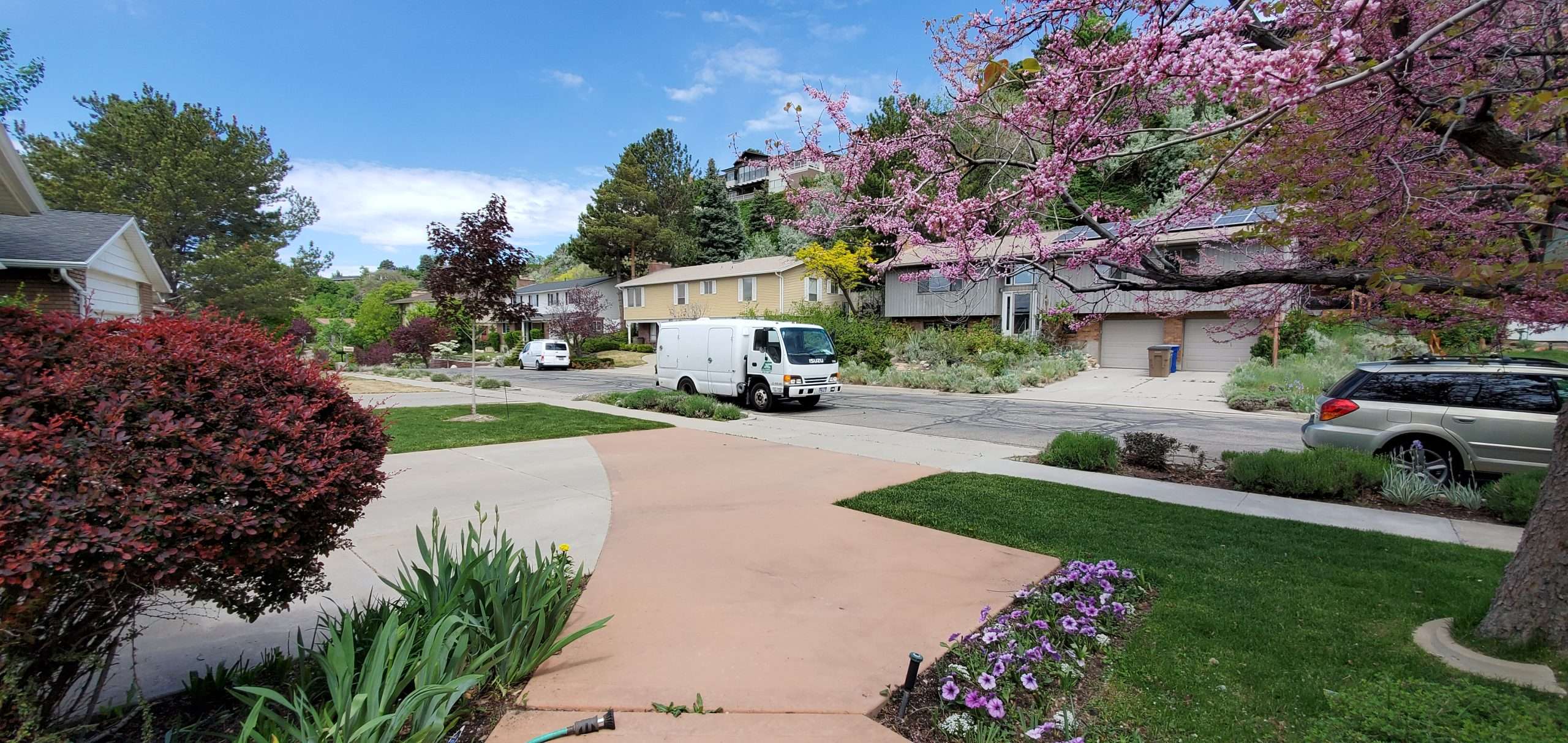 An All Green Service truck is parked in the background. The foreground shows a beautifully landscaped yard with a lush green lawn.
