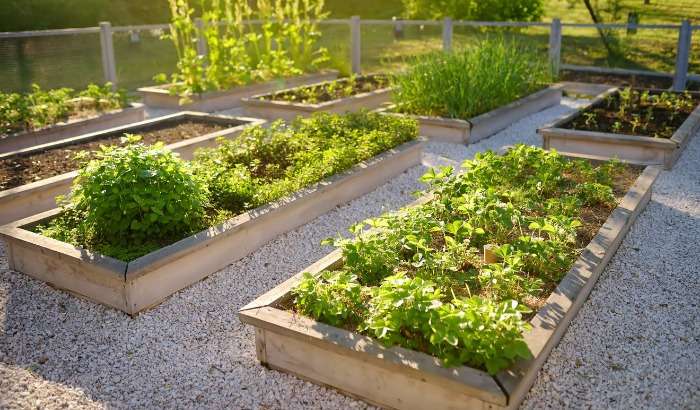 5 Tips For An All-Season Garden