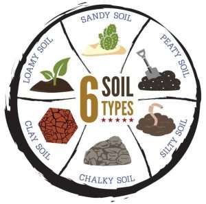 Six soil types infographic with icons and descriptors.