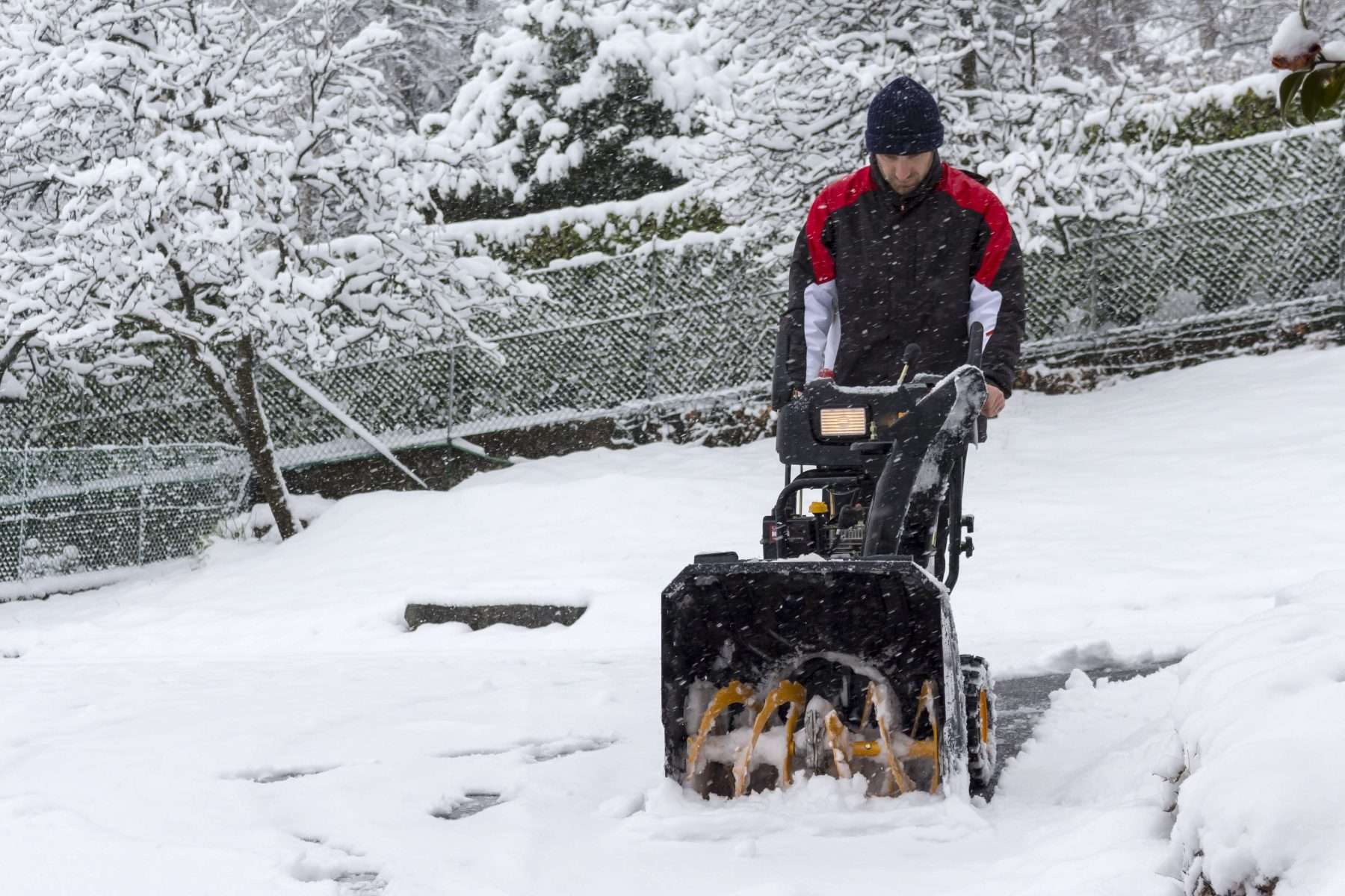 Winter Pest Control Mythbusting
