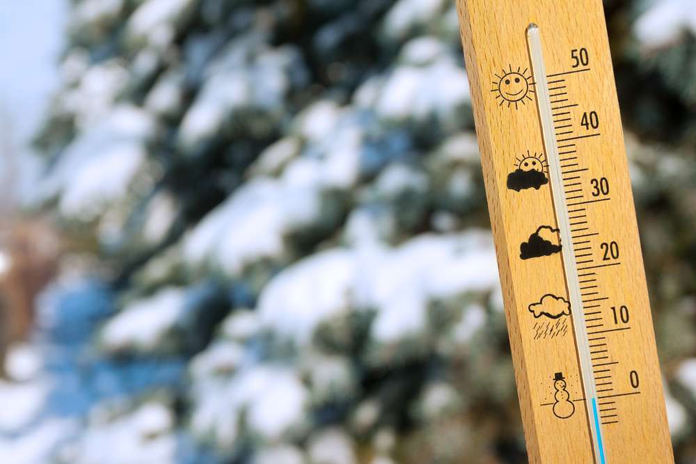 Cold Weather Brings Pests Indoors