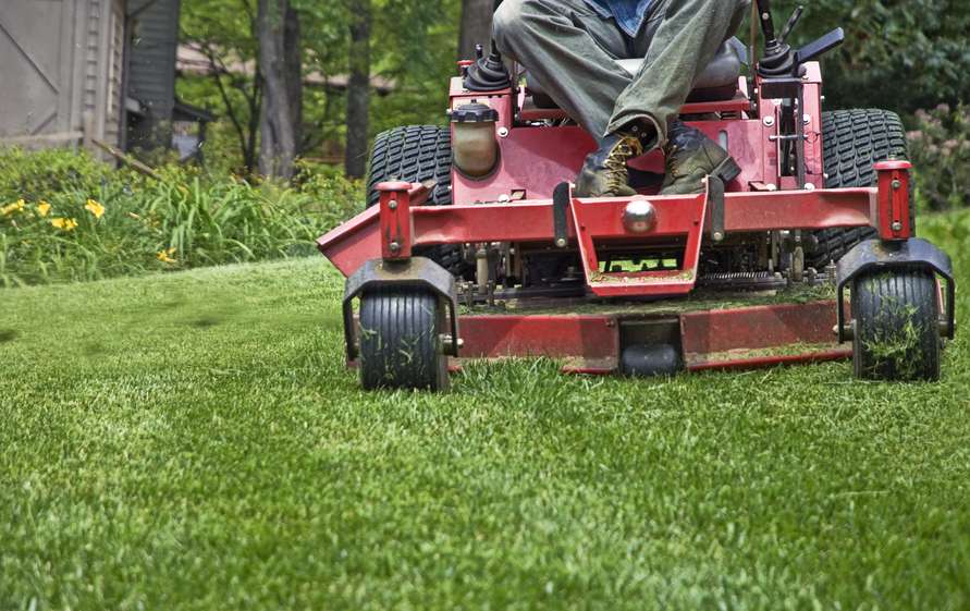 Setting your lawn up for a lush, green summer