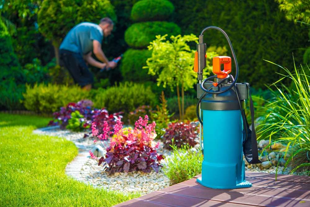 DIY Pest Control May Pose a Threat to Your Home and Family