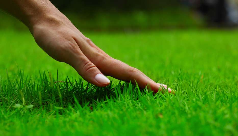 Environmentally Friendly Lawn Care
