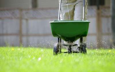 Your Fall Lawn Fertilization Guide For Northern Utah