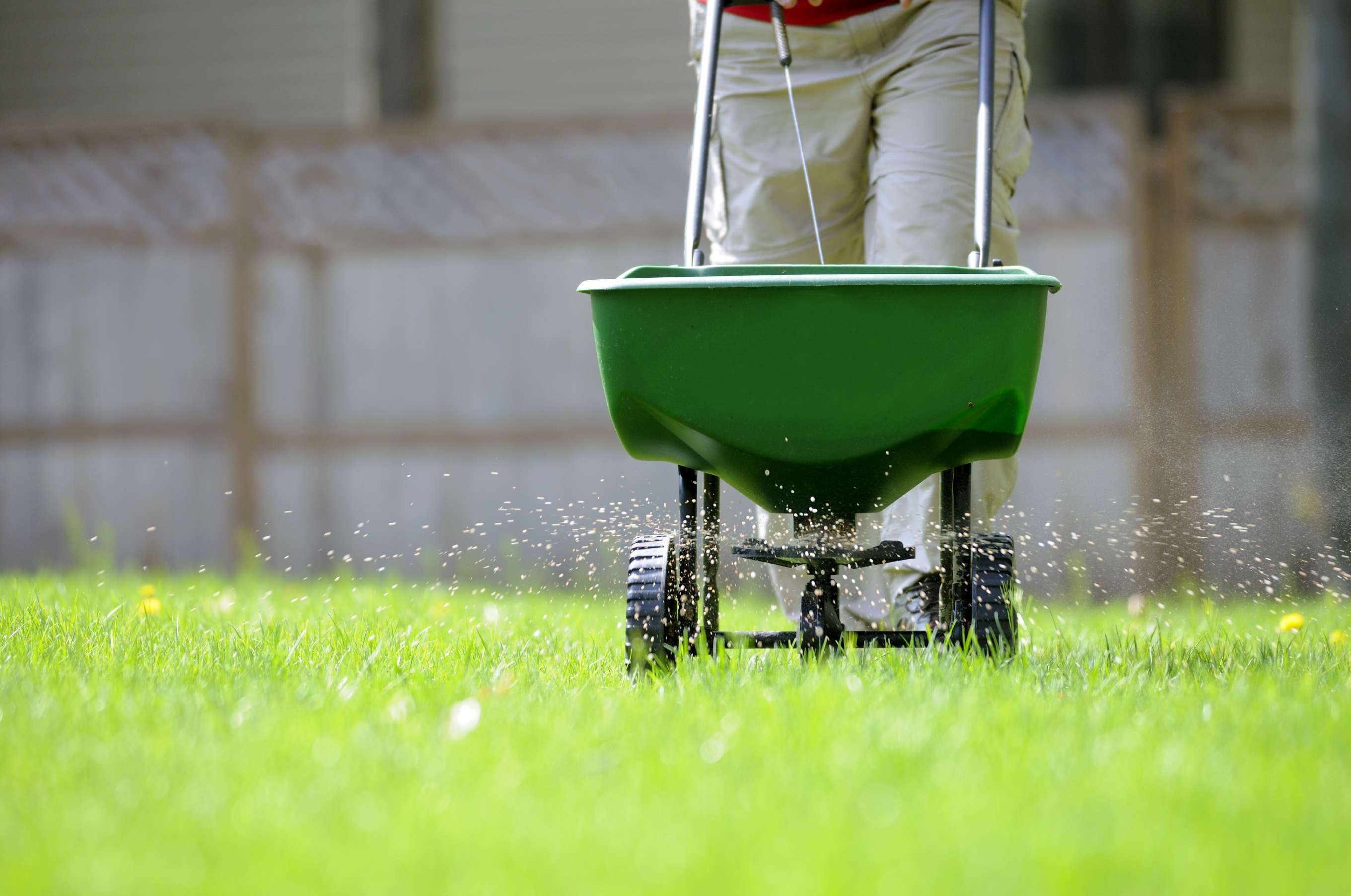 Fall Lawn Fertilization