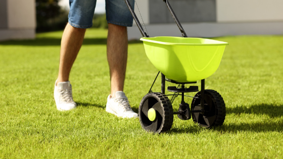 Fertilizing Your Lawn 101