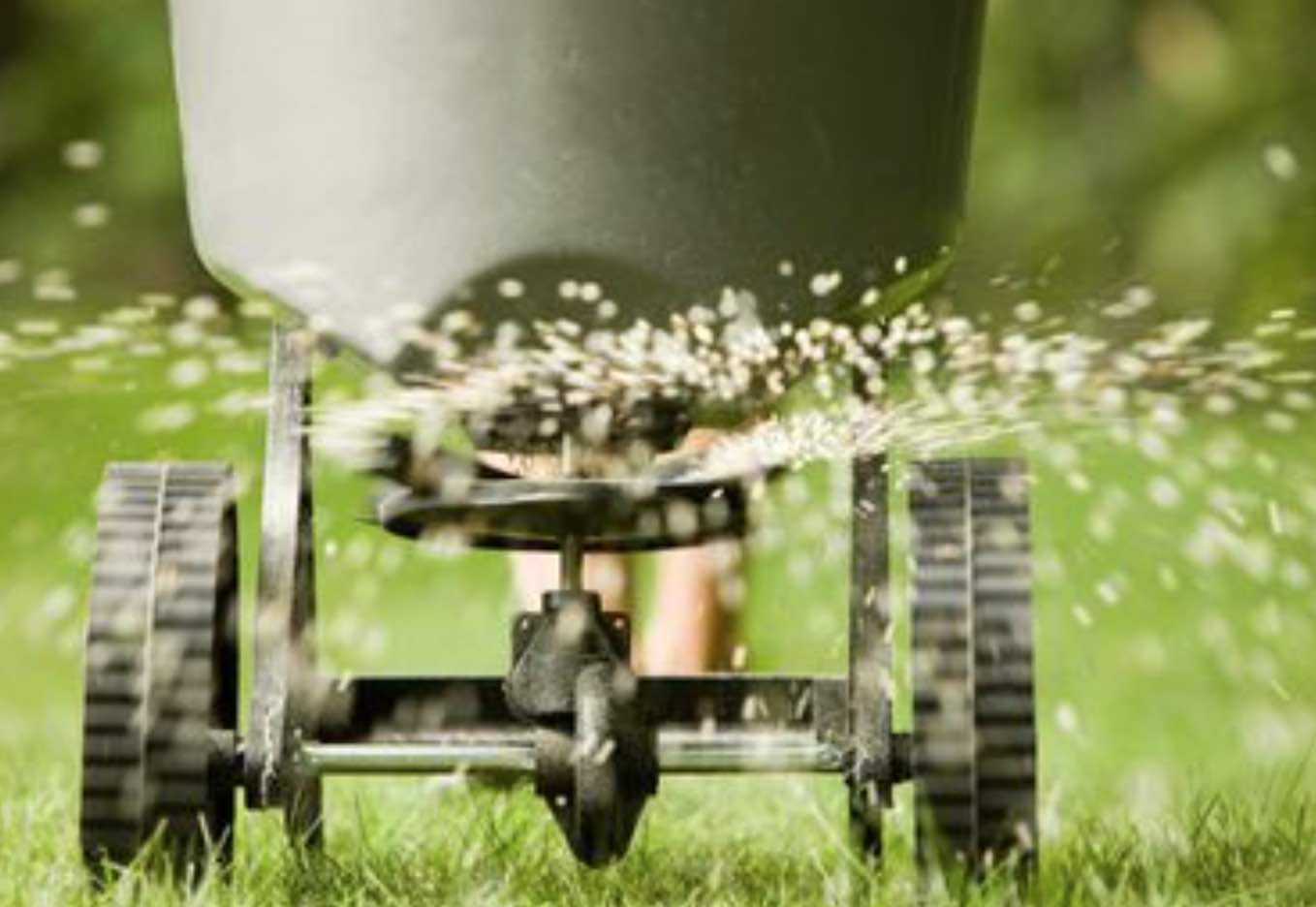 fertilizing