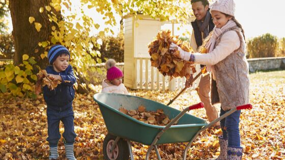 How to Dispose of Leaves