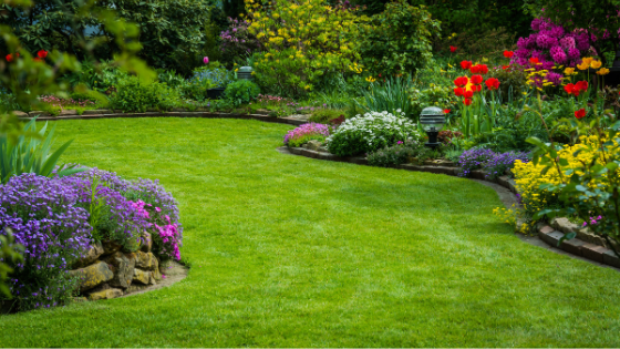 Fertilizer Services Keep Lawns Healthy, Looking Great