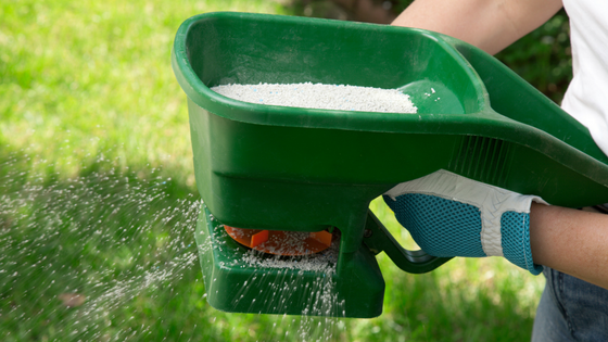 Myths About Lawn Care