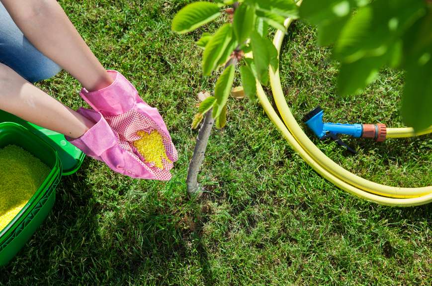 Lawn Fertilization