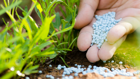 Lawn vs Garden Fertilizer – Is There a Difference?
