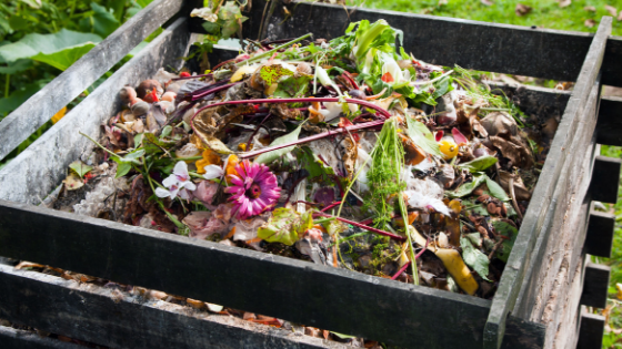 Making Your Own Compost