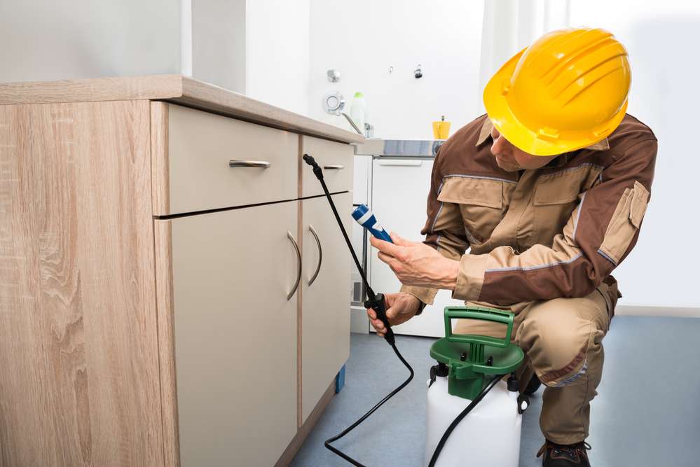 This Spring, Stop Pests From Making Your Home Theirs
