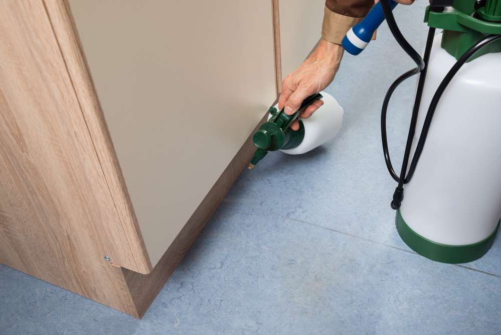How To Protect Your Home During Fall Pest Invasion