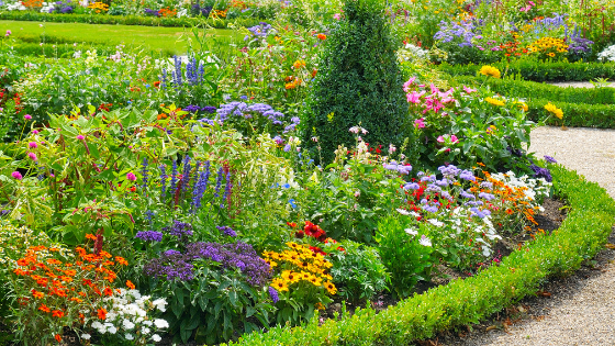 Plants That Do Well in Direct Sun and Plants That Don’t