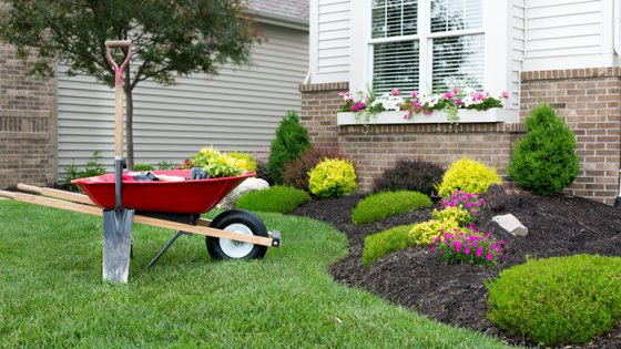 Prime Time to Get Your Lawn Off to a Great Start This Spring