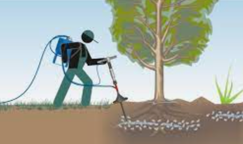 Tree root injection