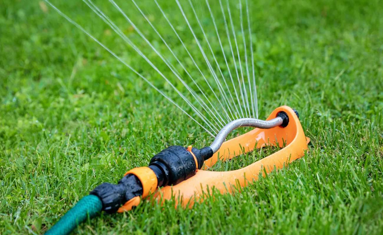 Garden sprinkler watering green grass