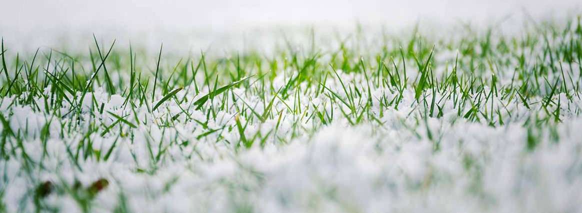 Winter Lawn Preparation Tips for Utah Homeowners