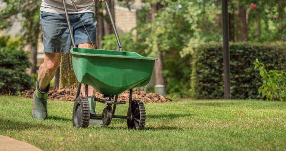 Person pushing wheelbarrow in garden