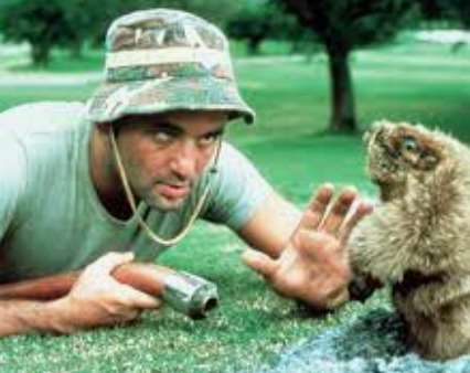 Man and gopher face off on golf course.
