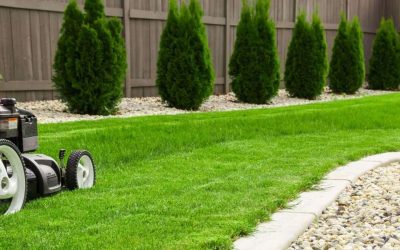 Bring Your Lawn Back to Life this Spring!