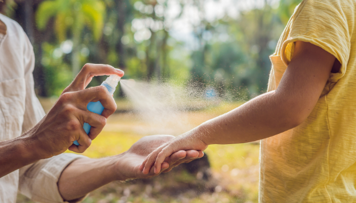 The Best Mosquito Control For Your Yard