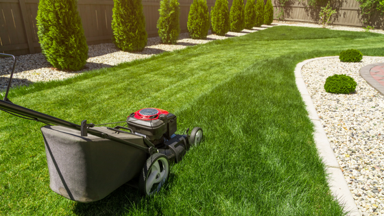 Top 3 Lawn Care Equipment Everyone Should Have
