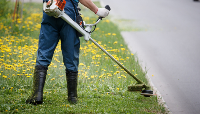 The Ultimate Lawn Edger Beginner’s Guide for Homeowners