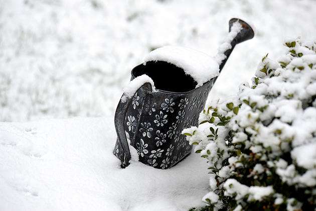 Utah Winter Lawn Watering Guide