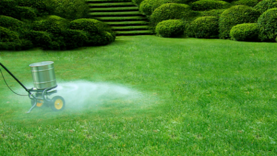 Why is Fertilizing Important?