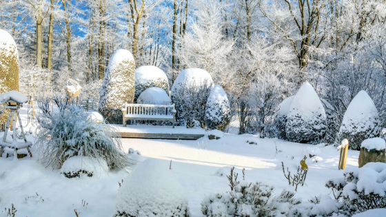 Winterizing Your Garden