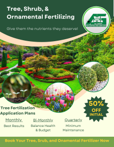 A decorative garden space of trees, flowers, ornamentals, and lush green grass. That image is overlayed with additional images of saplings, tulips, and boxwood shrubs, with an image of the All Green, A.G. logo, and mentions tree, shrub, & ornamental fertilization