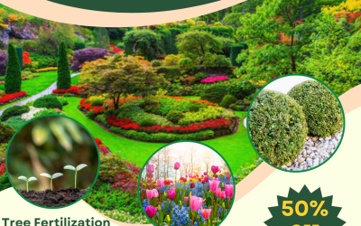Tree Fertilization, Shrub and Ornamental Care
