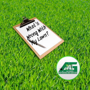 Clipboard with a pen resting on it. A paper on the clipboard has writing that asks, "What's wrong with my lawn"? The clipboard is overlayed atop a lush green lawn. The A.G. logo for All Green is in the bottom right corner of the image