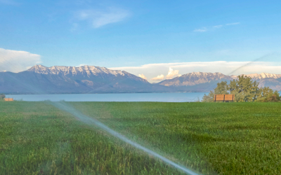 When To Turn On Sprinklers In My Climate Region?