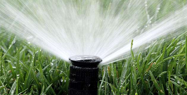 How Much Should I Be Lawn Watering In Utah
