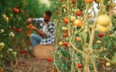 Top 10 Plants That Grow Best in Utah