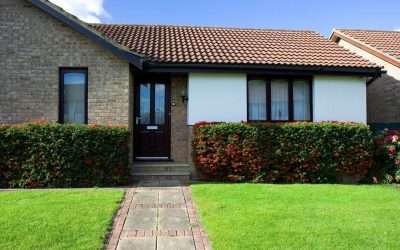 Got a Grub Problem? Here’s How to Prevent Lawn Grub Damage