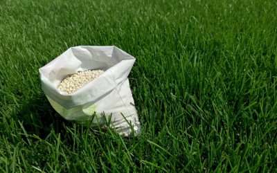 Tips For An Environmentally Friendly Lawn