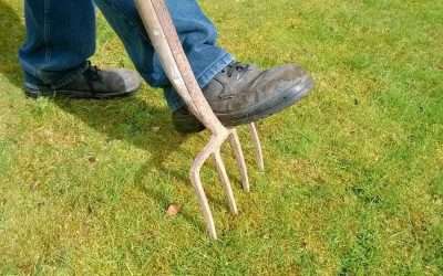 5 Best Lawn Care Tools: The Essentials For A Healthy Lawn