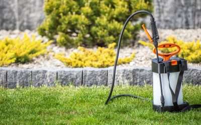 Soil-Safe Pest Control