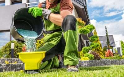 Why Lawn Fertilization is Essential for a Healthy and Beautiful Yard