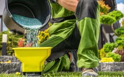 The Different Types of Fertilizers